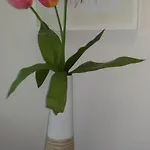 아파트 Nel Cuore *
