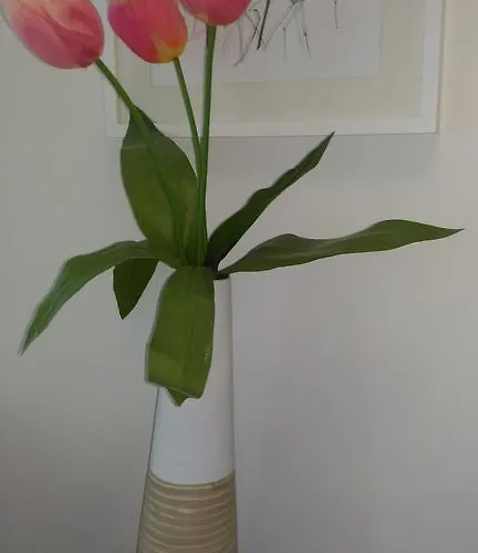 公寓 心里马泰拉度假屋 *